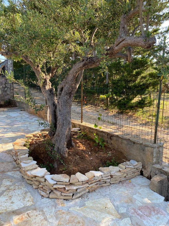 Villa L'Orizzonte Di Calabianca Castellammare del Golfo Eksteriør bilde