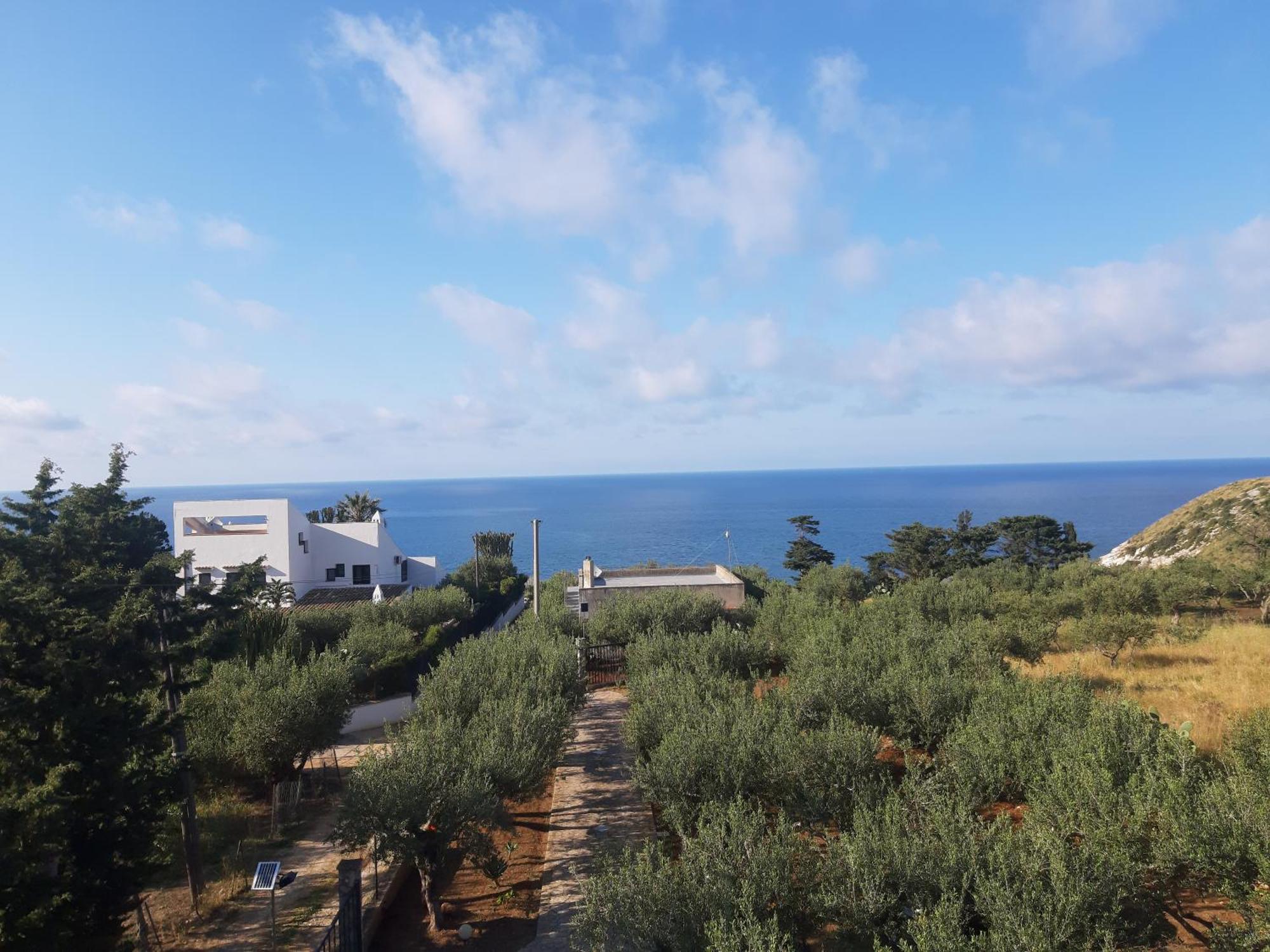 Villa L'Orizzonte Di Calabianca Castellammare del Golfo Eksteriør bilde