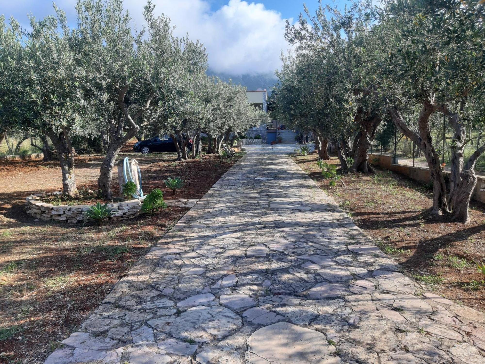 Villa L'Orizzonte Di Calabianca Castellammare del Golfo Eksteriør bilde
