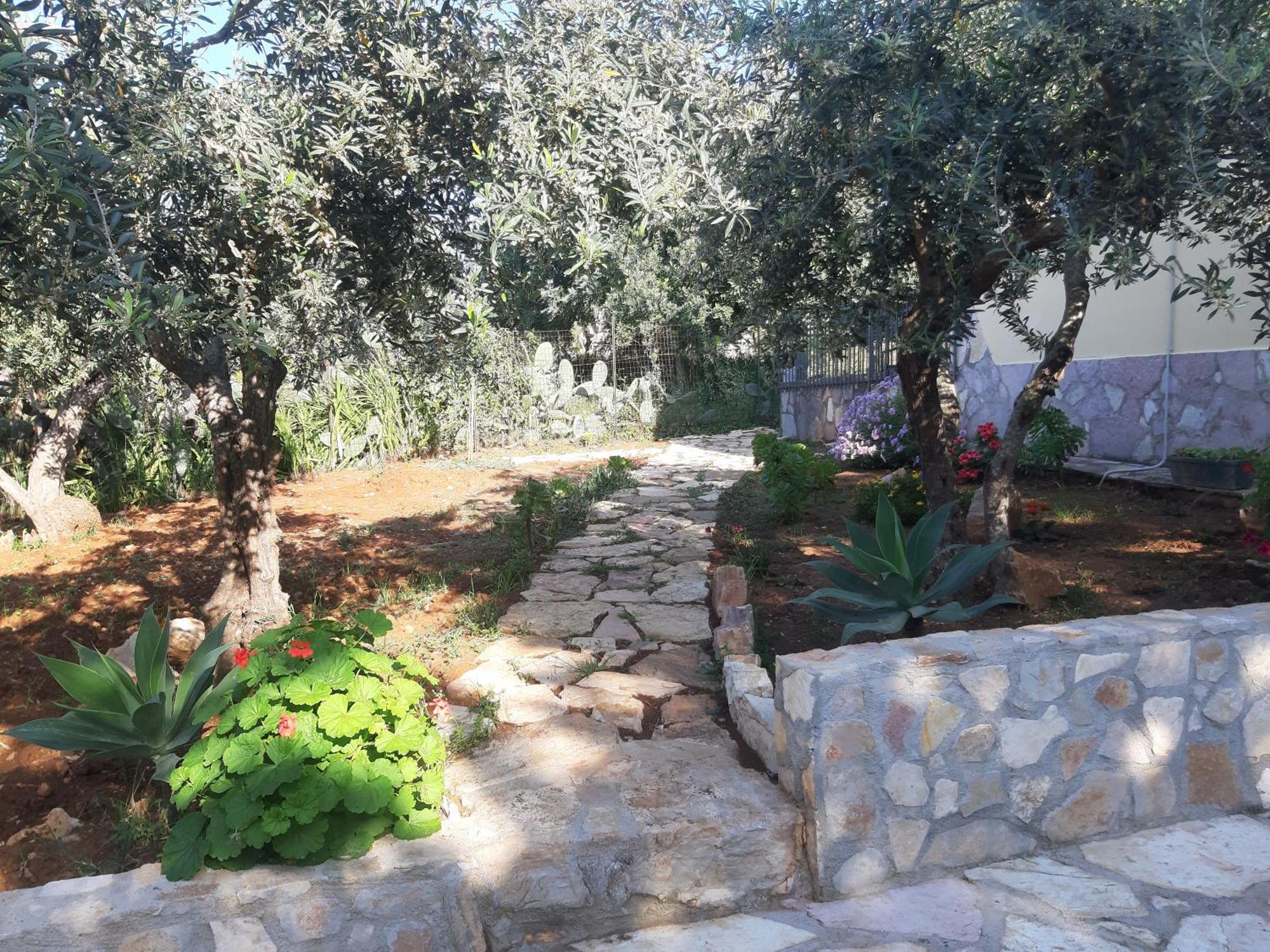 Villa L'Orizzonte Di Calabianca Castellammare del Golfo Eksteriør bilde