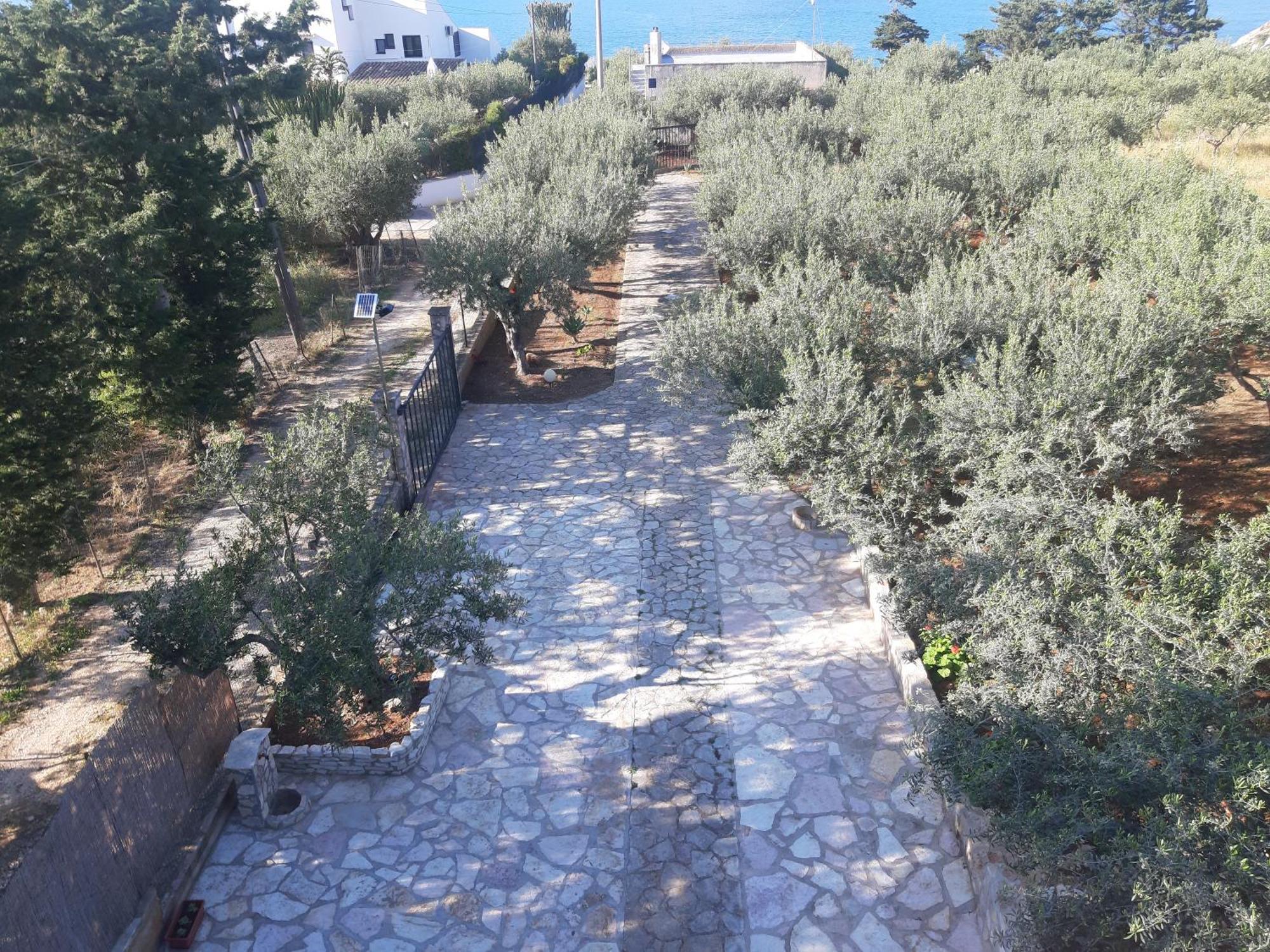 Villa L'Orizzonte Di Calabianca Castellammare del Golfo Eksteriør bilde